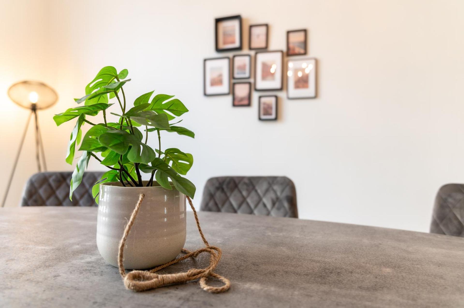 אוסטנדה Beautiful Renovated Apartment In An Authentic Building מראה חיצוני תמונה
